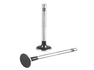 VALVULA ESC VOLKSWAGEN AMAROK 2.0 TDI  -  Ø 5,97mm x Ø 26mm x L:99,1mm -  4 Chav