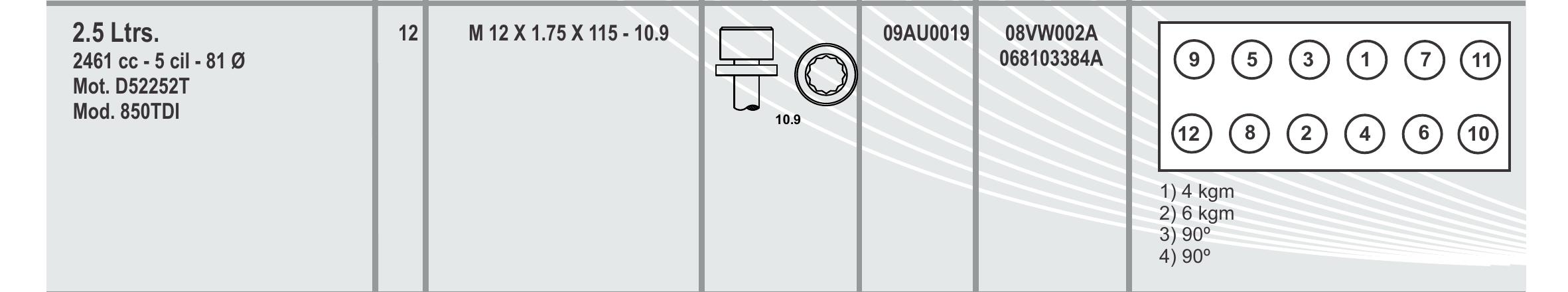 BULON TAPA CILINDRO - 09AU0019 - AUDI 2,0/2,4/2,5 L DIESEL / TURBO DIESEL - 5 CIL. - MOTOR CN/AAS/3D/AAT/AB