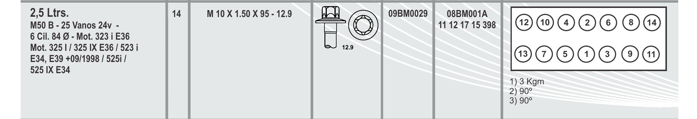 BULON TAPA CILINDRO - 09BM0029 - BMW 2,0/2,5/2,8L - 6 CILINDRO - M 50 B VANOS 24 V